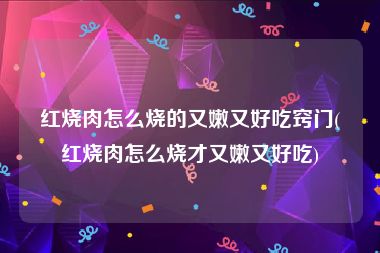 红烧肉怎么烧的又嫩又好吃窍门(红烧肉怎么烧才又嫩又好吃)