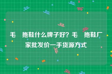 毛絨拖鞋什么牌子好？毛絨拖鞋厂家批发价一手货源方式