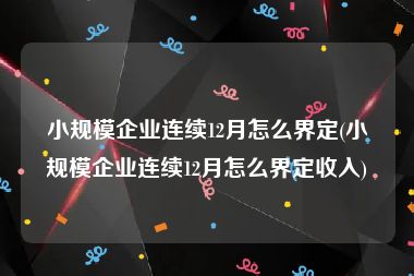 小规模企业连续12月怎么界定(小规模企业连续12月怎么界定收入)