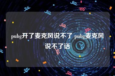 pubg开了麦克风说不了 pubg麦克风说不了话