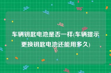 车辆钥匙电池是否一样(车辆提示更换钥匙电池还能用多久)
