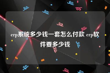 erp系统多少钱一套怎么付款 erp软件要多少钱