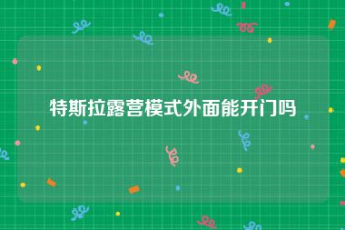 特斯拉露营模式外面能开门吗