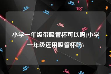 小学一年级带吸管杯可以吗(小学一年级还用吸管杯吗)