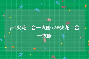 gm9火龙二合一攻略 GM9火龙二合一攻略