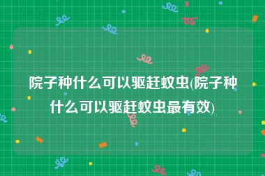 院子种什么可以驱赶蚊虫(院子种什么可以驱赶蚊虫最有效)