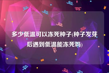 多少低温可以冻死种子(种子发芽后遇到低温能冻死吗)