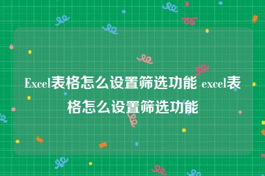Excel表格怎么设置筛选功能 excel表格怎么设置筛选功能