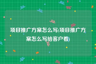 项目推广方案怎么写(项目推广方案怎么写给客户看)