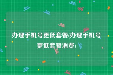 办理手机号更低套餐(办理手机号更低套餐消费)