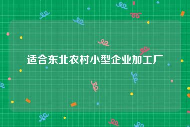 适合东北农村小型企业加工厂
