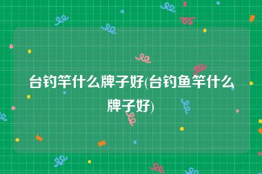 台钓竿什么牌子好(台钓鱼竿什么牌子好)