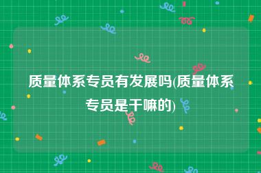 质量体系专员有发展吗(质量体系专员是干嘛的)