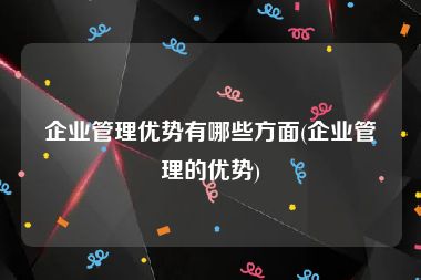 企业管理优势有哪些方面(企业管理的优势)