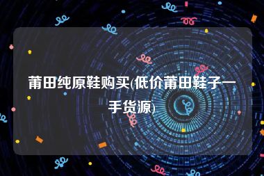 莆田纯原鞋购买(低价莆田鞋子一手货源)