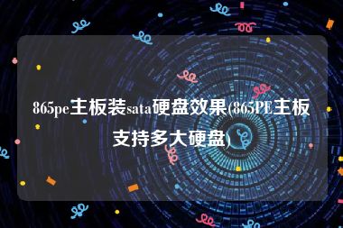 865pe主板装sata硬盘效果(865PE主板支持多大硬盘)