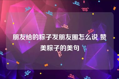 朋友给的粽子发朋友圈怎么说 赞美粽子的美句
