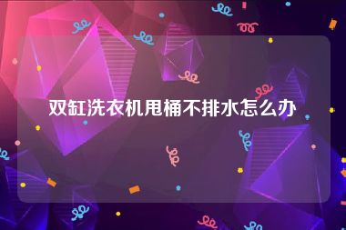 双缸洗衣机甩桶不排水怎么办