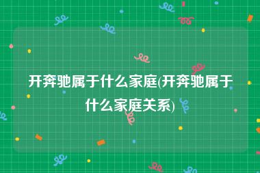 开奔驰属于什么家庭(开奔驰属于什么家庭关系)