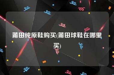莆田纯原鞋购买(莆田球鞋在哪里买)