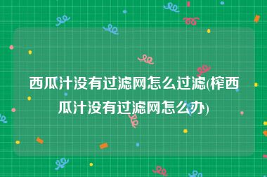 西瓜汁没有过滤网怎么过滤(榨西瓜汁没有过滤网怎么办)