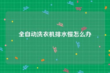 全自动洗衣机排水慢怎么办