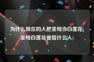 为什么现在的人把圣母当白莲花(圣母白莲花是指什么人)