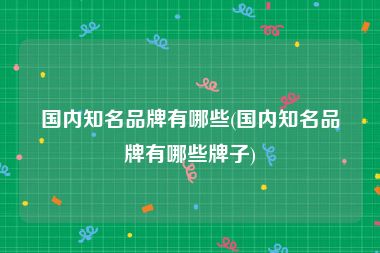 国内知名品牌有哪些(国内知名品牌有哪些牌子)