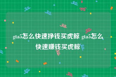 gta5怎么快速挣钱买虎鲸 gta5怎么快速赚钱买虎鲸