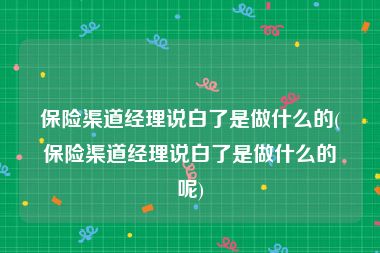 保险渠道经理说白了是做什么的(保险渠道经理说白了是做什么的呢)