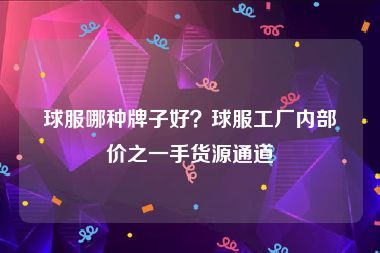球服哪种牌子好？球服工厂内部价之一手货源通道