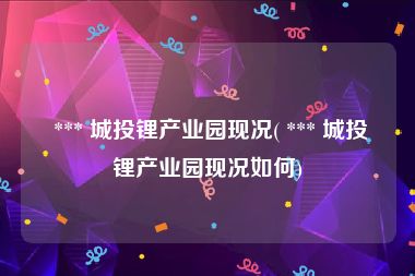  *** 城投锂产业园现况( *** 城投锂产业园现况如何)