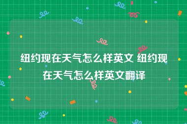纽约现在天气怎么样英文 纽约现在天气怎么样英文翻译