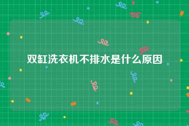 双缸洗衣机不排水是什么原因