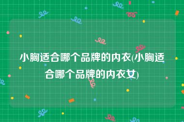 小胸适合哪个品牌的内衣(小胸适合哪个品牌的内衣女)