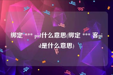 绑定 *** pid什么意思(绑定 *** 客pid是什么意思)