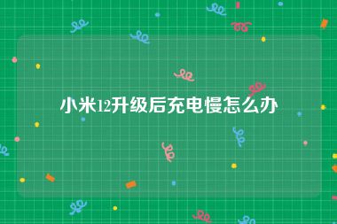 小米12升级后充电慢怎么办