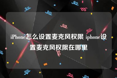 iPhone怎么设置麦克风权限 iphone设置麦克风权限在哪里