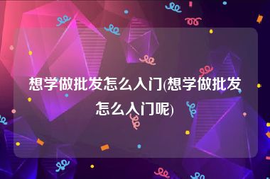 想学做批发怎么入门(想学做批发怎么入门呢)