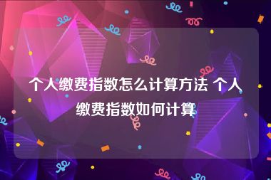 个人缴费指数怎么计算方法 个人缴费指数如何计算
