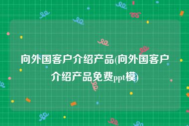 向外国客户介绍产品(向外国客户介绍产品免费ppt模)