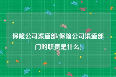 保险公司渠道部(保险公司渠道部门的职责是什么)