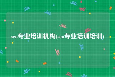 seo专业培训机构(seo专业培训培训)