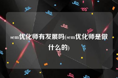 sem优化师有发展吗(sem优化师是做什么的)