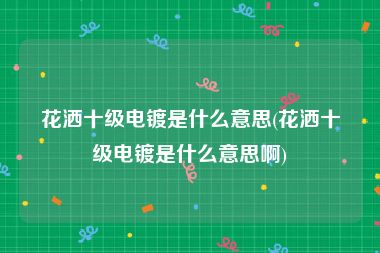 花洒十级电镀是什么意思(花洒十级电镀是什么意思啊)
