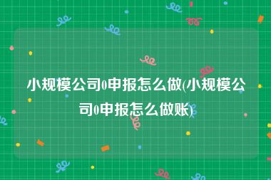小规模公司0申报怎么做(小规模公司0申报怎么做账)