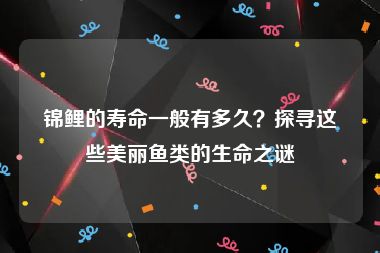 锦鲤的寿命一般有多久？探寻这些美丽鱼类的生命之谜