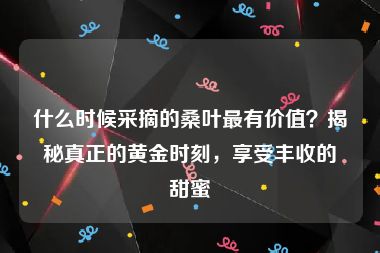 什么时候采摘的桑叶最有价值？揭秘真正的黄金时刻，享受丰收的甜蜜