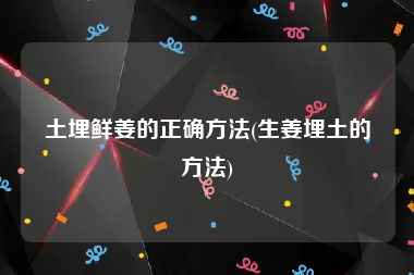 土埋鲜姜的正确方法(生姜埋土的方法)