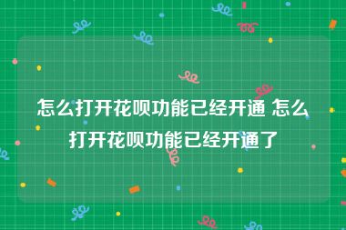 怎么打开花呗功能已经开通 怎么打开花呗功能已经开通了